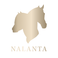 Nalanta