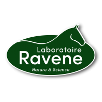 Ravene