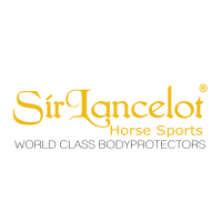 Sir Lancelot