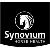 Synovium