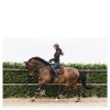 ANKY Saddle Pad Leafs Dressage