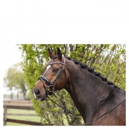 ANKY snaffle bridle ATH16003