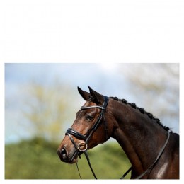 ANKY bridle ATH20004