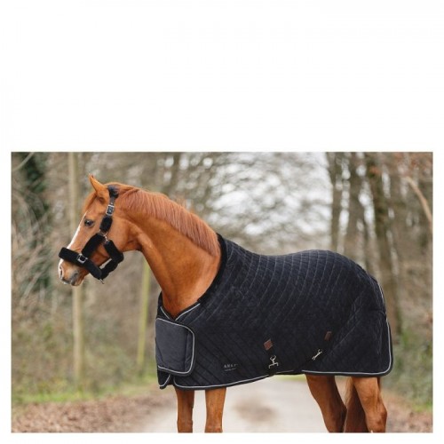 ANKY Show blanket Victory