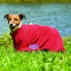 Weatherbeeta ComFiTec Dry-Dog Fleecejacket