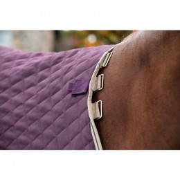 Amigo Stable Plus Medium