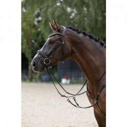 Covalliero Snaffle Bridle Clincher