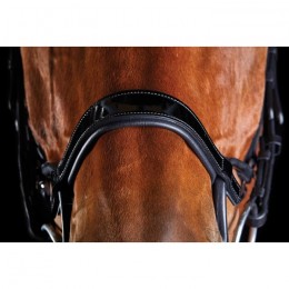 Collegiate ComFiTec Patent Bridle