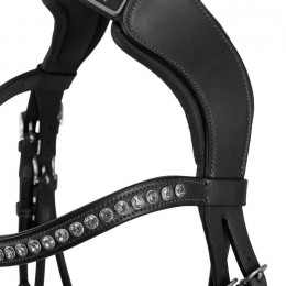 Acavallo Bridle Poesia