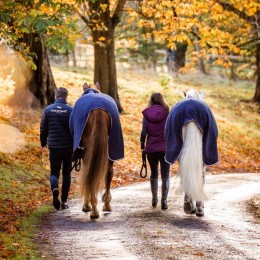 Horseware Embossed Jersey Cooler