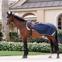 Amigo Ripstop Exercise Sheet