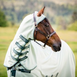 Rambo Hoody eczema rug