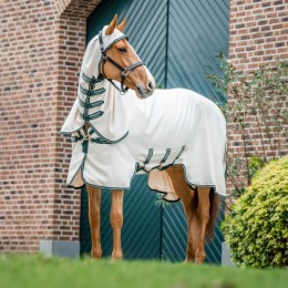 Rambo Hoody eczema rug