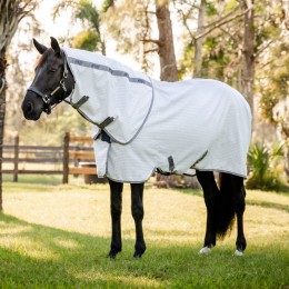 Amigo Summer Sheet Plus