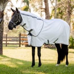 Amigo Summer Sheet Plus