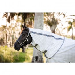 Amigo Summer Sheet Plus