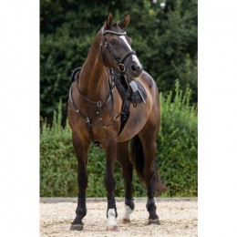 Covalliero Snaffle Bridle Clincher