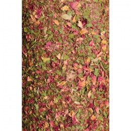 Grooming Deluxe Wooden Relax Horse Toy Salt Stone Airways