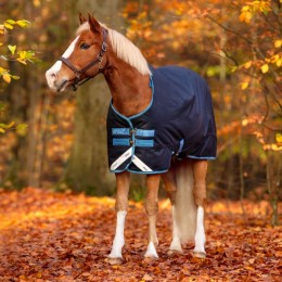 Amigo Bravo 12 Pony Medium 250g