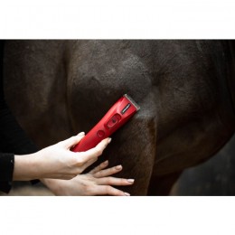 Liveryman Nova clipper