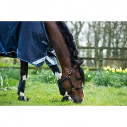 Amigo Bravo 12 Lite 0g