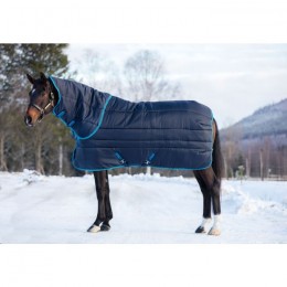 Amigo Insulator Plus Super Heavy 550g