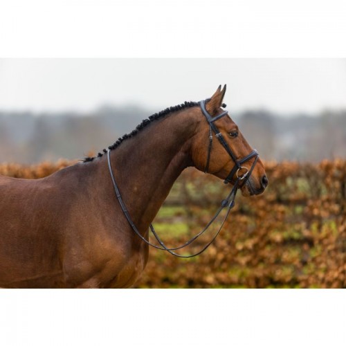 Trust Amsterdam bridle anatomic noseband