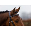 Trust Amsterdam bridle anatomic noseband
