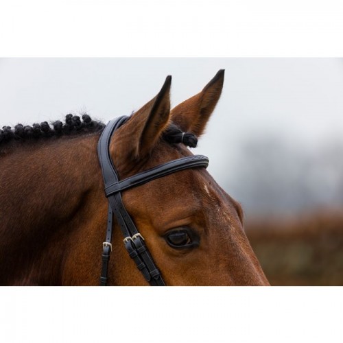 Trust Amsterdam bridle anatomic noseband