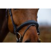 Trust Amsterdam bridle anatomic noseband
