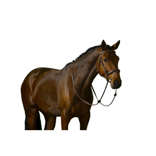 Trust Amsterdam bridle anatomic noseband