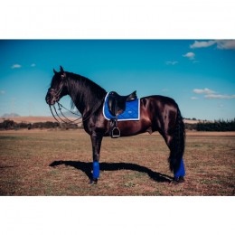 Equestrian Stockholm dressage pad Sapphire
