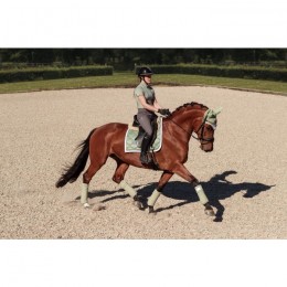 Equestrian Stockholm Pistachio White dressage saddlepad