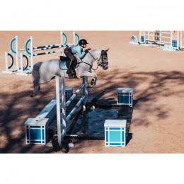 Equestrian Stockholm Ice Blue earnet