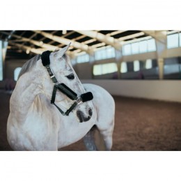 Equestrian Stockholm SS'21 Deep Olivine Halter