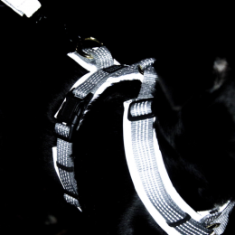 Kentucky Dog Harness active reflective