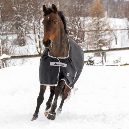 Bucas Anniversary Turnout Stay-Dry