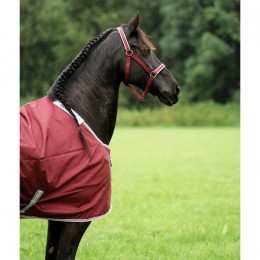 Bucas Atlantic Exclusive Turnout