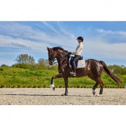 Kingsland SS25 Hybrid Riding Jacket Naya