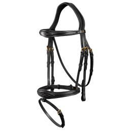 Dyon Anatomic Flash Noseband Bridle D Collection