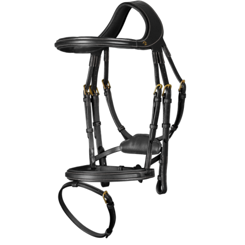 Dyon Bridle Difference D Collection