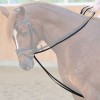 Kavalkade Drawreins Leather Hooks