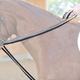 Kavalkade Drawreins Leather Hooks