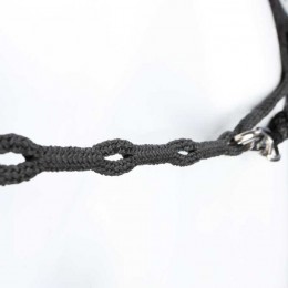 Kavalkade Lunging Aid Easy