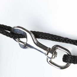 Kavalkade Lunging Aid Easy