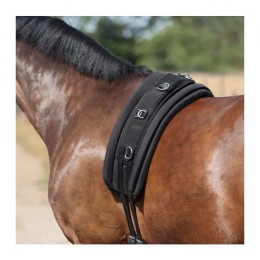 Kavalkade Lunging Pad