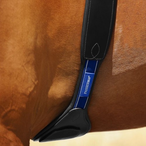 Passier Grip Leather Saddle Girth