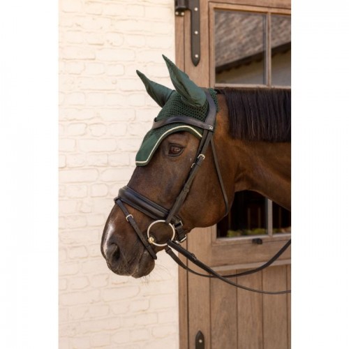 Kentucky Earnet Wellington Velvet