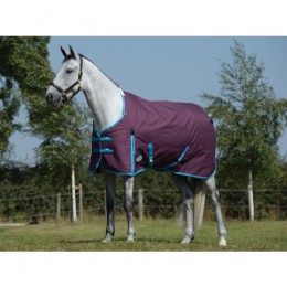 Weatherbeeta ComFiTec Essential Standard Neck Medium 220g Grape Purple/Blue