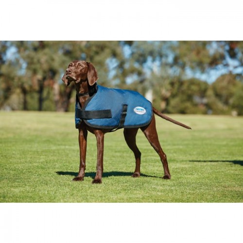 Weatherbeeta ComFiTec Classic Dog Coat